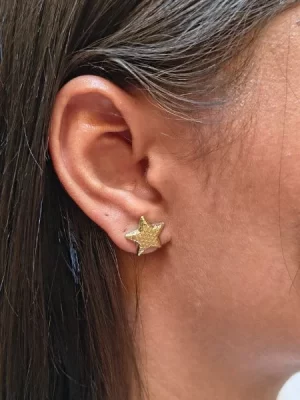 Brinco Estrela detalhada banhado a ouro 18k